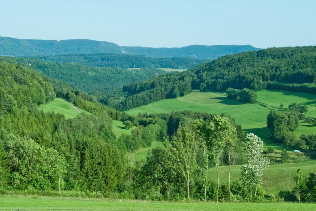 Gasthaus Kranz Lausheim Екстериор снимка